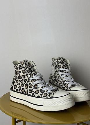 Кеды golf wang x converse tri panel all star lift hi леопардовые