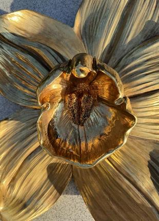 Декор настенный kare design orchid 44x40 см золотой