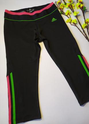 Спортивные короткие лосины adidas, eur 40