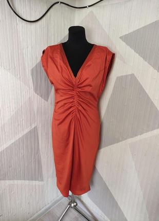 Сукня, плаття міді, ted baker