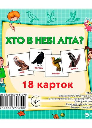 Розвивальні картки для дітей хто в небі літає j014y, 18 картинок