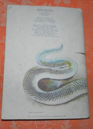 "кирило кожум'яка"