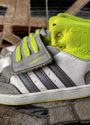 Кросівки adidas