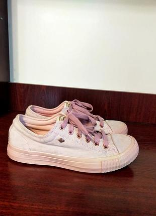 Кеды из натуральной замши,british knights,