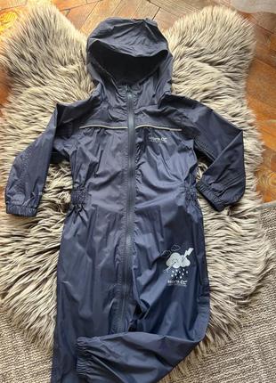 Дощовик дождевик