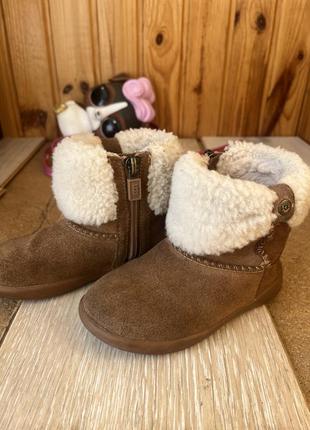 Сапожки, сапоги Jeans ugg