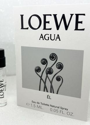 De loewe el loewe для мужчин