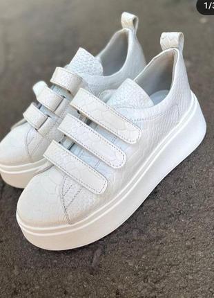 Натуральная кожа кроссовки белые рептилия кожаные