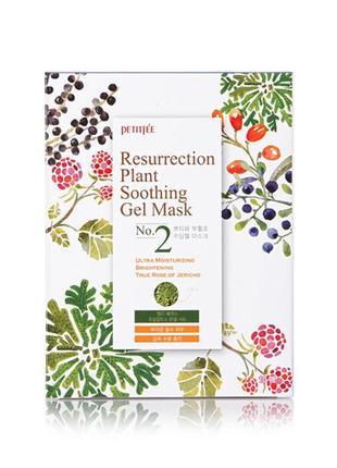 Зволожуюча маска для обличчя petitfee resurrection plant soothing gel mask 30g - 1шт