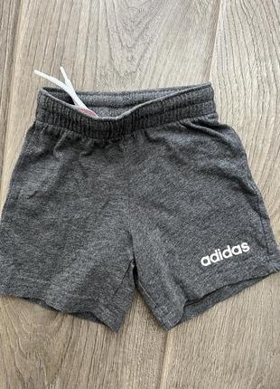 Шорты adidas 6-9 месяцев