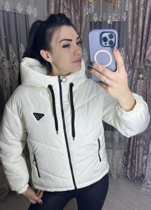 Демісезонні куртки