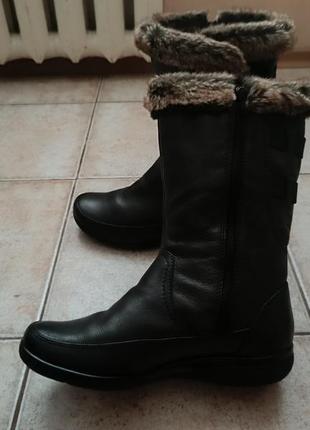 Зимние сапоги clarks(england)ecco geox hogl braska rieker bugatti vagobond timberland salamander hh3 фото