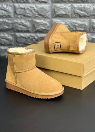 Женские сапоги ugg замшевые сапоги угги