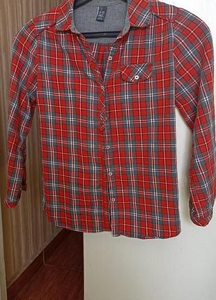 Рубашка в клетку, школьная zara