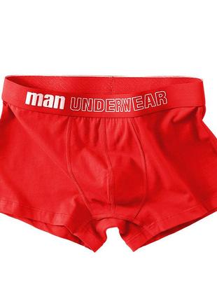 Чоловічі труси, хлопок, розмір м