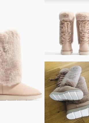 Щимовые сапоги угги