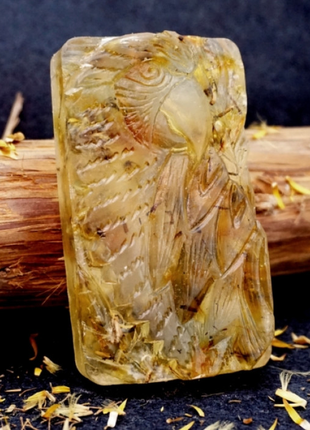 Мило магічне папуга