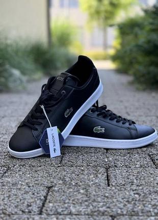 Снікерси lacoste
