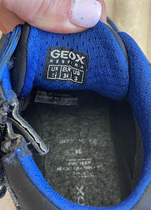 Ботинки geox 34 размер6 фото