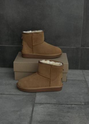 Женские сапоги ugg замшевые зимние сапоги угги