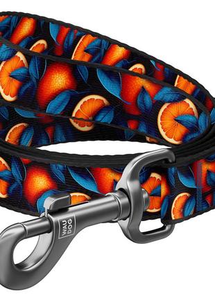 Повідець для собак нейлоновий waudog nylon, малюнок "апельсини", s, ш 15 мм, дов 200 см