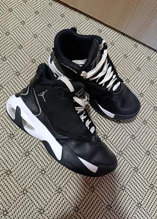 nike pants sb money cat low for sale in ohio city