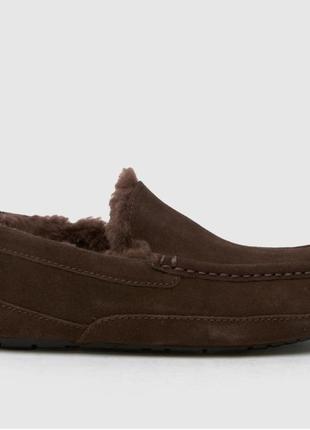 Оригинальные мужские мокасины ugg ascot