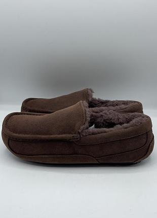 Оригинальные мужские мокасины ugg ascot