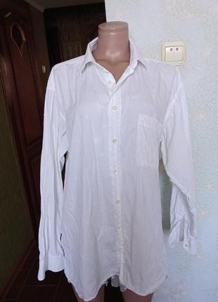 Біла сорочка rocco cavalli1 фото