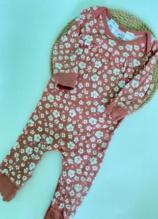 Пісочник чоловічок