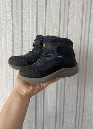 Дитячі чоботи geox 4