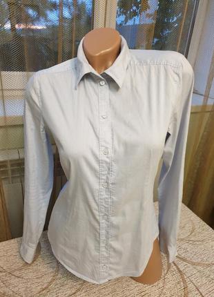 Брендова, натуральна, класична жіноча сорочка esprit