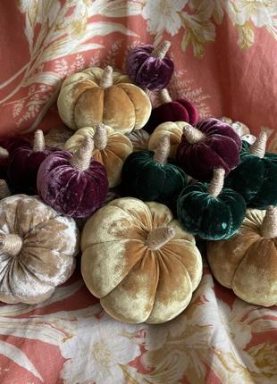 Декоративные тыквы/велюровые тыквы