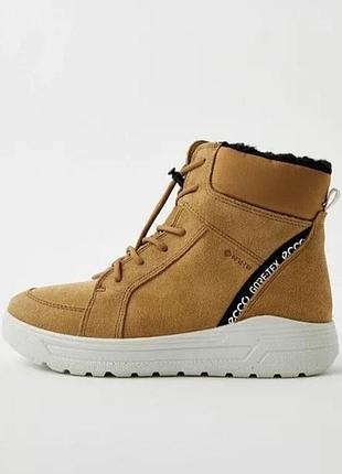 Зимние сапожки ecco urban оригинал