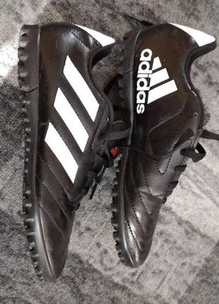 Сороконіжки adidas goletto v 36 р.