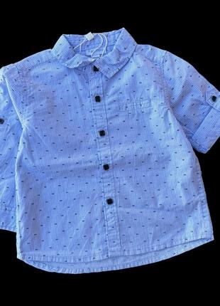 Сорочка, бавовна тм "ovs" (74 см) (сірчки, еніски)