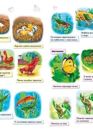 Малюкові про все на світі а1767002у дитяча ециклопедія3 фото