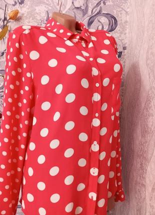 Сорочка, блузка в горох.