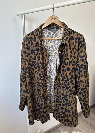 Сорочка, рубашка