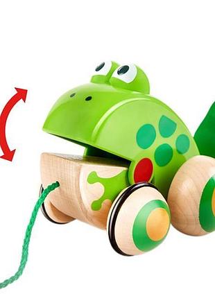 Деревянная каталка hape жабки (e0365) 4