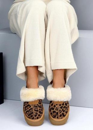 Женские зимние ботинки ugg леопардовые3 фото