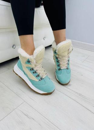 Черевики lamb мʼята натуральна замша