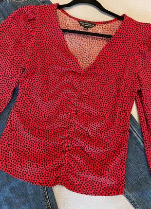 Хорошая блуза dorothy perkins6 фото