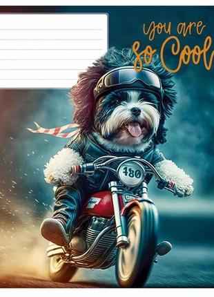 Зошит учнівський you are so cool 012-3241k-2 у клітинку 12 найкраща ціна на pokuponline