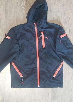 Вітровка на хлопчика wolf