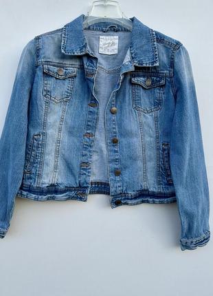 Джинсовка 5