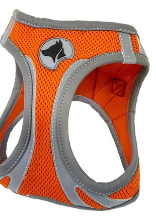 Шлея croci hiking reflective для собак нейлонова помаранчева розміру xs 30-33 см (8023222171657)