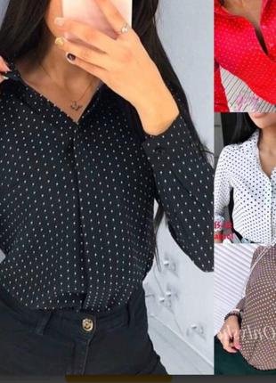 Блуза жіноча.