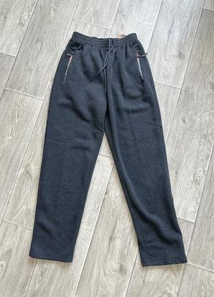 Теплые спортивные штаны мужские теплые однотонные брюки на резинке флис осень зима