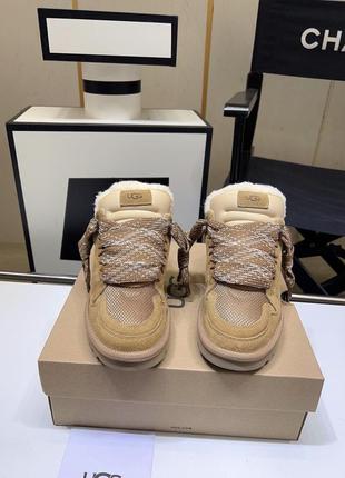Кросівки на меху овчина ugg